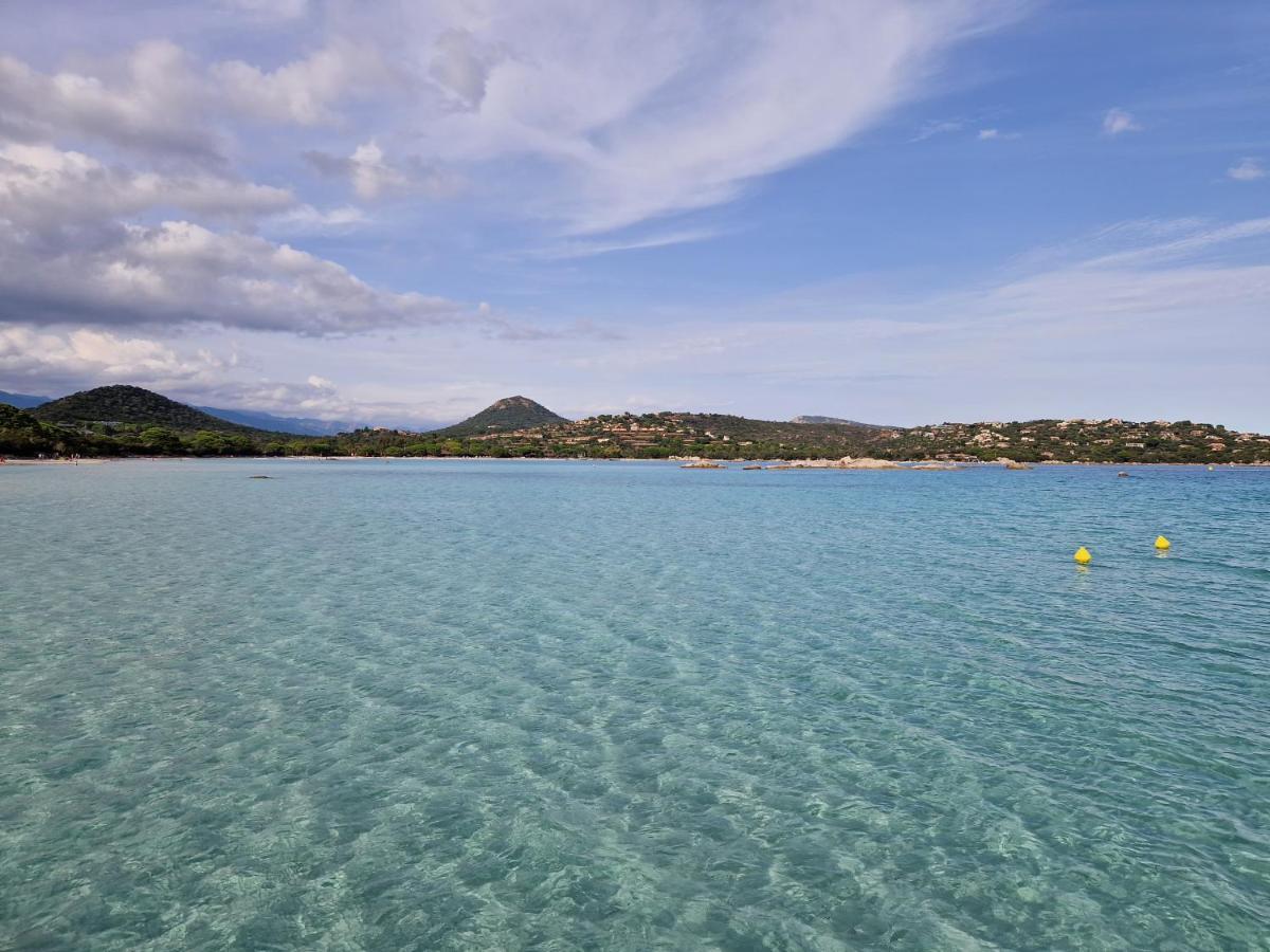 فندق Ibis Styles Porto Vecchio المظهر الخارجي الصورة