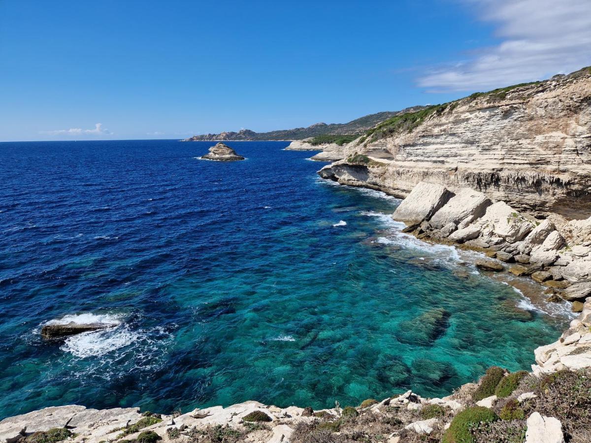 فندق Ibis Styles Porto Vecchio المظهر الخارجي الصورة